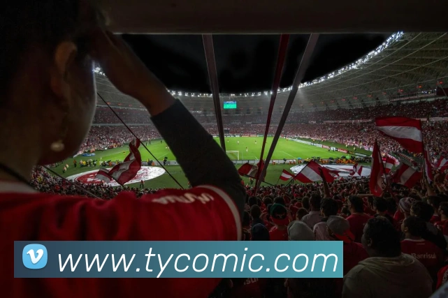 太阳城网站发展历程